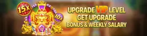 PH799 UPGRADE TO VIP