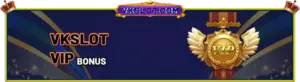 VKSLOT VIP BONUS