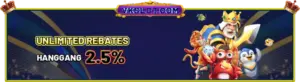 VKSLOT REBATES